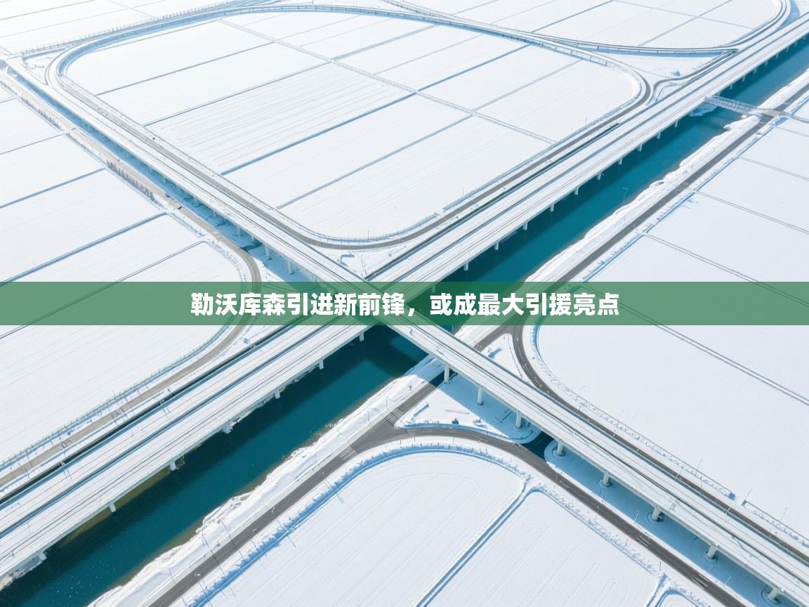 勒沃库森引进新前锋，或成最大引援亮点  第2张